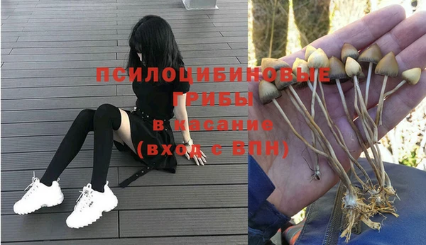 таблы Богданович
