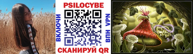 Купить закладки  Сурск  Галлюциногенные грибы ЛСД 